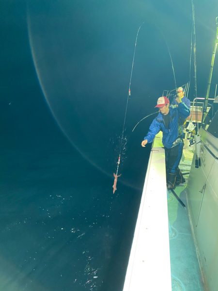 あみや渡船 JIGBOY 釣果