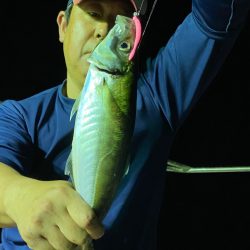 あみや渡船 JIGBOY 釣果