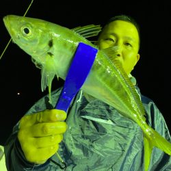 あみや渡船 JIGBOY 釣果