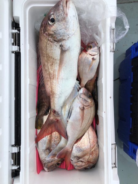 フィッシング キッタカ 釣果