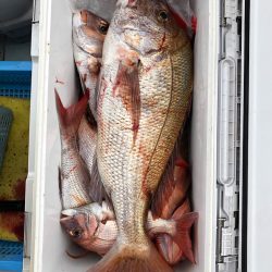 フィッシング キッタカ 釣果