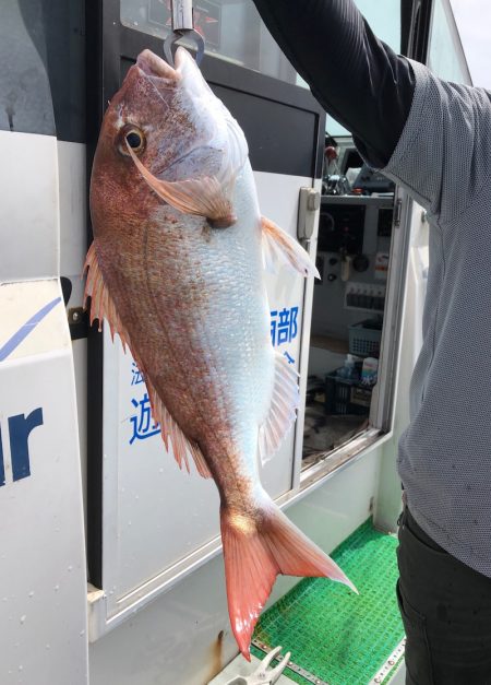 フィッシング キッタカ 釣果