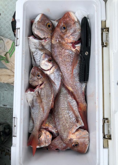 フィッシング キッタカ 釣果