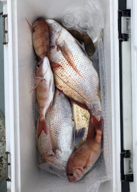 フィッシング キッタカ 釣果