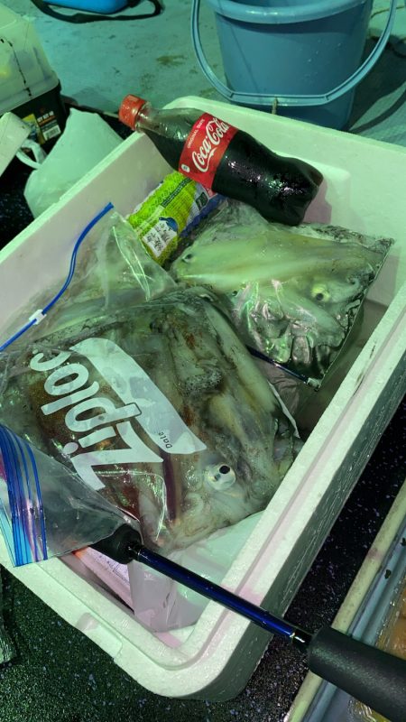 あみや渡船 JIGBOY 釣果