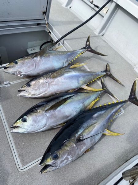 へいみつ丸 釣果