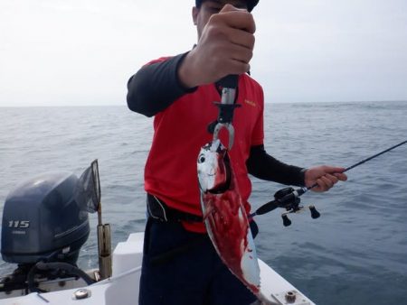 開進丸 釣果