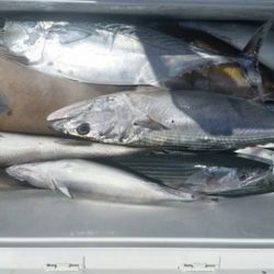 第五慶門丸 釣果