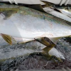 遊漁船　ニライカナイ 釣果