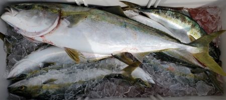 遊漁船　ニライカナイ 釣果