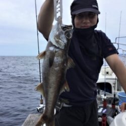 鯛紅丸 釣果