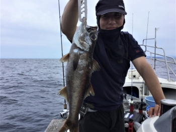 鯛紅丸 釣果
