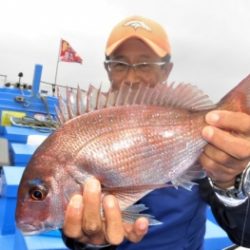 鯛紅丸 釣果