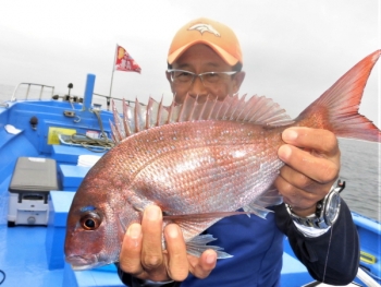 鯛紅丸 釣果