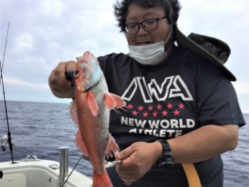 鯛紅丸 釣果