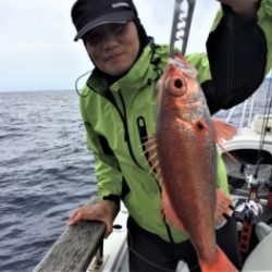 鯛紅丸 釣果