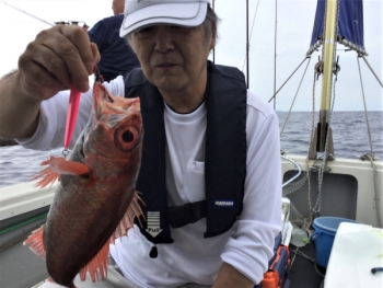 鯛紅丸 釣果