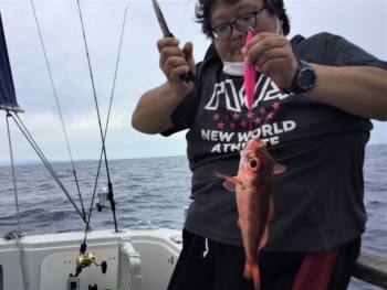 鯛紅丸 釣果