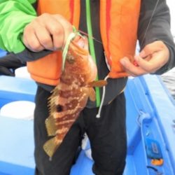 鯛紅丸 釣果