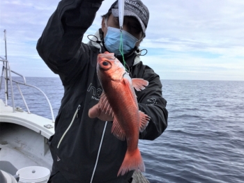 鯛紅丸 釣果