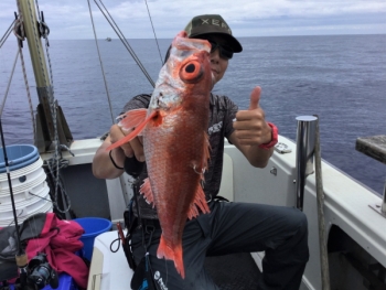 鯛紅丸 釣果