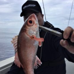鯛紅丸 釣果