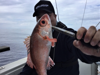 鯛紅丸 釣果