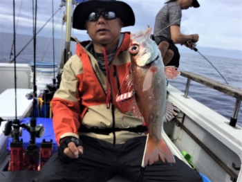 鯛紅丸 釣果