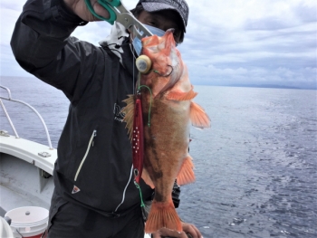 鯛紅丸 釣果