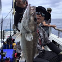 鯛紅丸 釣果