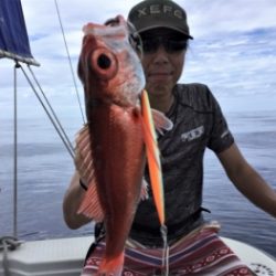 鯛紅丸 釣果