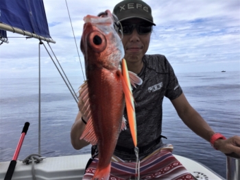 鯛紅丸 釣果