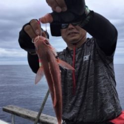 鯛紅丸 釣果