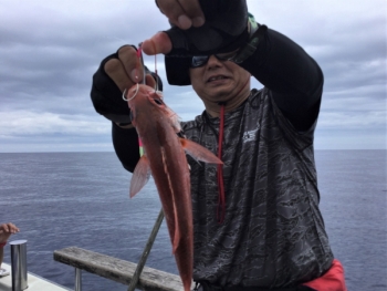 鯛紅丸 釣果