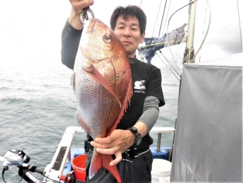 鯛紅丸 釣果