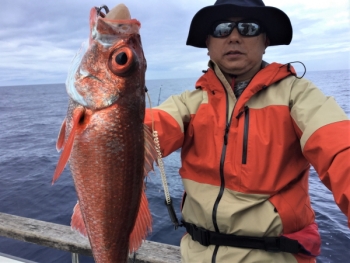 鯛紅丸 釣果