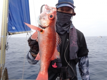 鯛紅丸 釣果
