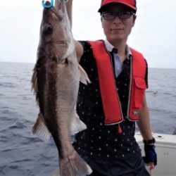 鯛紅丸 釣果