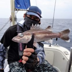 鯛紅丸 釣果