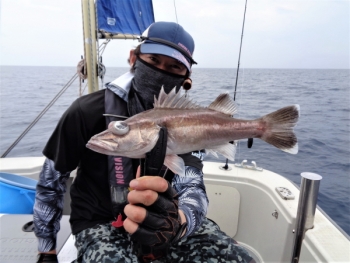 鯛紅丸 釣果