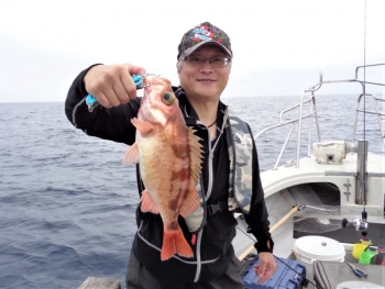 鯛紅丸 釣果
