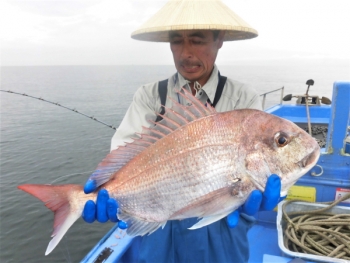鯛紅丸 釣果