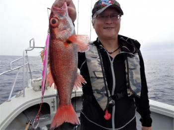鯛紅丸 釣果