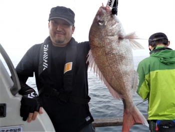 鯛紅丸 釣果