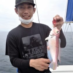 鯛紅丸 釣果