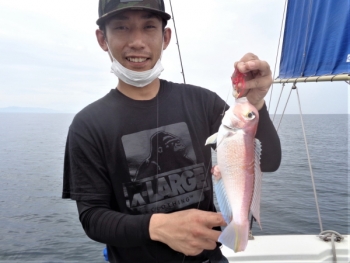 鯛紅丸 釣果