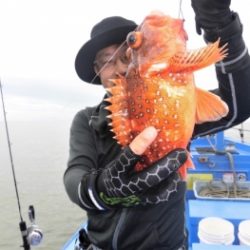 鯛紅丸 釣果