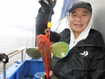 鯛紅丸 釣果