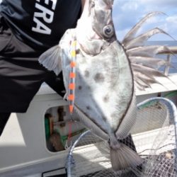 鯛紅丸 釣果