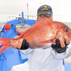 鯛紅丸 釣果